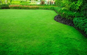 Fertilize and Pre-Emerge Your Lawn with the help of Berend Bros. 