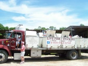 Fish Stock Delivery from Arkansas Pondstockers at Berend Bros. in Texas.