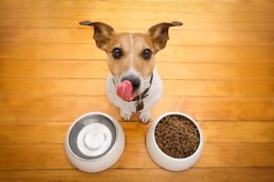 Berend Bros. offers a pet food Frequent Purchase Program on Farmstrong, Exclusive and Red Flannel dog food. 