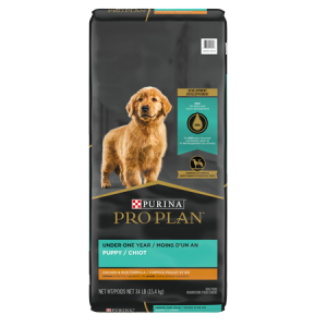 Purina Pro Plan Puppy Chicken & Rice Formula. Black and teal dry dog food bag. Dog food in Witcha Falls.