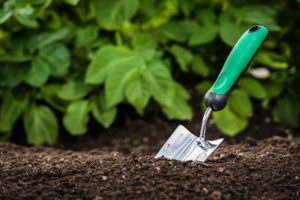 Berend Bros. carries everything you need for Spring gardening. Check out these March garden tips below to get started.