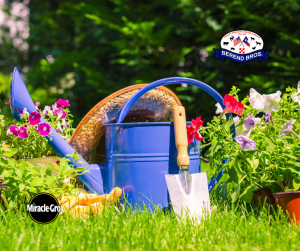 10% off Miracle Gro Potting Soil in August at Berend Bros.