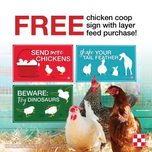 Join us for Flock-Tober at Berend Bros.,  October 1 through October 31, 2021! Purchase a bag of flock feed and receive a free coop sign.
