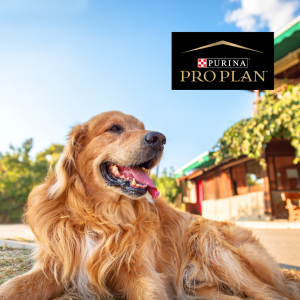 Purina Pro Plan Dog Food is now at your local Berend Bros. There’s a reason Pro Plan is the trusted food of champions.