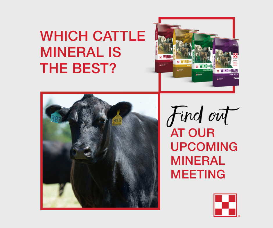 Join us for Berend Bros. Local Purina Cattle Mineral Meetings on Thursday, March 31, 2022! Learn the latest on livestock mineral.