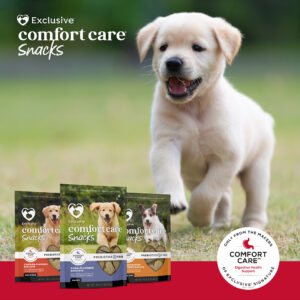 Buy 1 bag of Exclusive Comfort Care Dog Snacks & get a 2nd bag of Exclusive Comfort Care Dog Snacks FREE in May 2022 at Berend Bros.